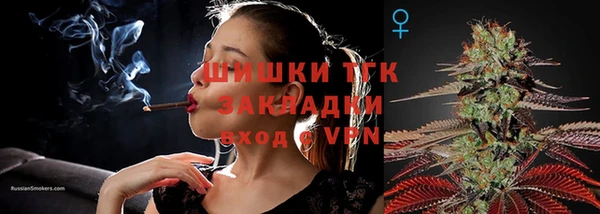 ГАЛЛЮЦИНОГЕННЫЕ ГРИБЫ Абаза