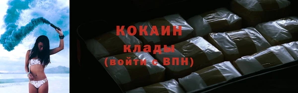 ГАЛЛЮЦИНОГЕННЫЕ ГРИБЫ Абаза