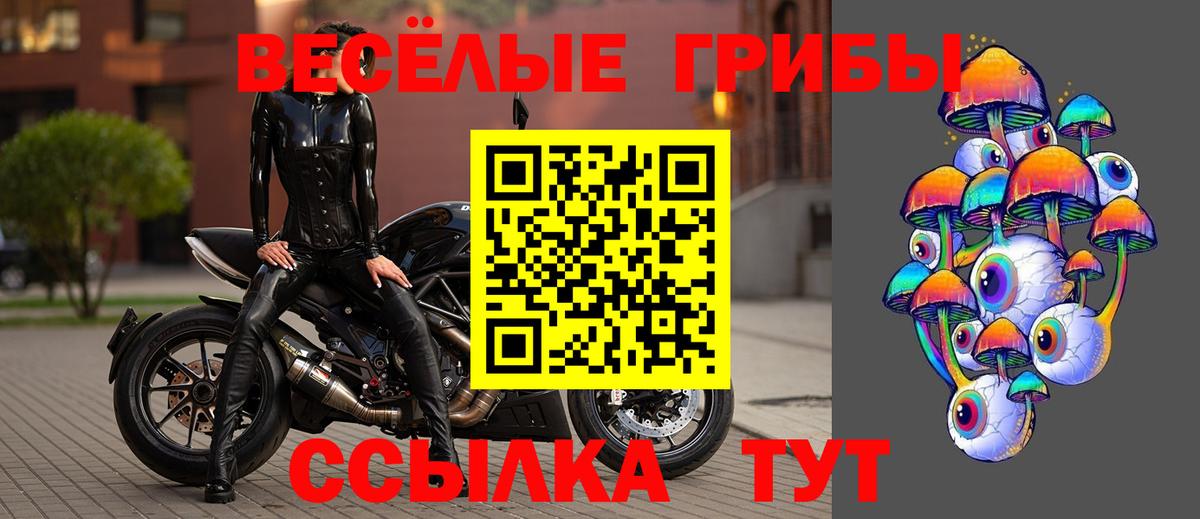 Галлюциногенные грибы ЛСД Урус-Мартан