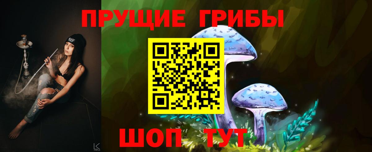 Галлюциногенные грибы ЛСД  Вход с VPN  Урус-Мартан  Псилоцибиновые грибы GOLDEN TEACHER 